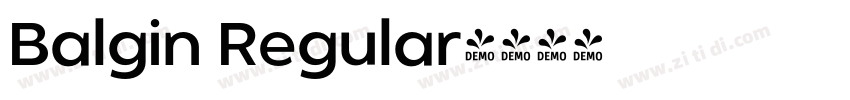 Balgin Regular字体转换